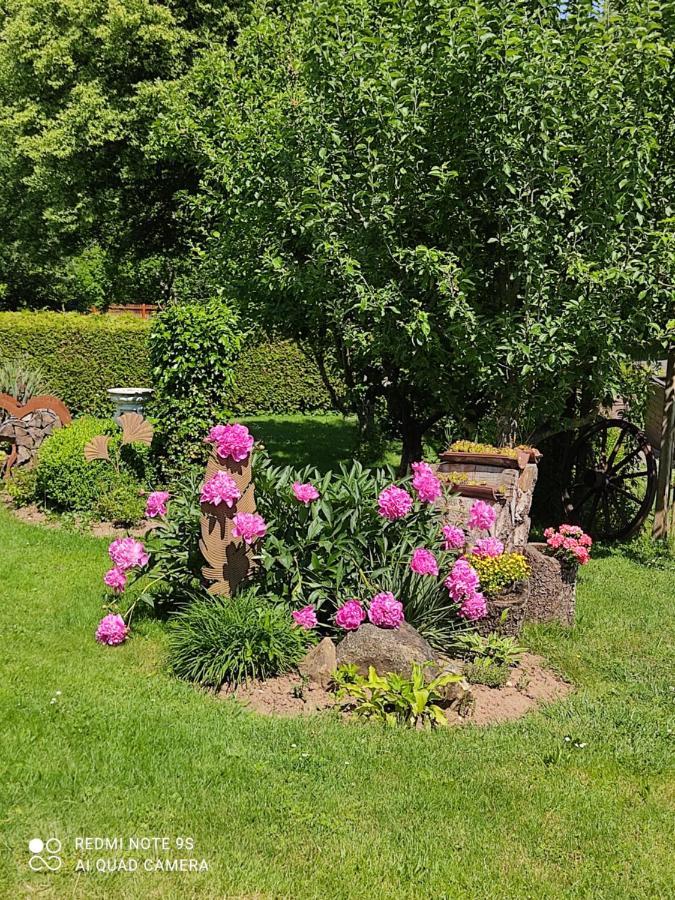 Ferienwohnung Rabelsdorf Pfarrweisach Екстериор снимка